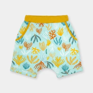 Pantalón Kids Algas