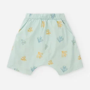 PANTALÓN ALGAS